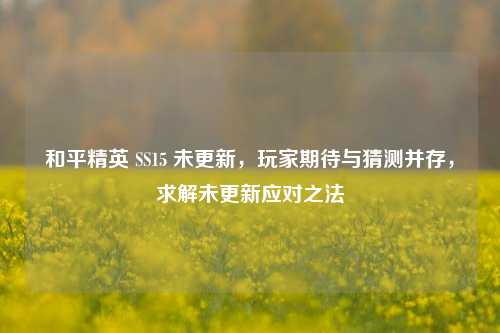 和平精英 SS15 未更新,玩家期待与猜测并存,求解未更新应对之法