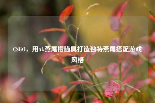 CSGO,用Ak燕尾槽瞄具打造独特燕尾搭配游戏风格