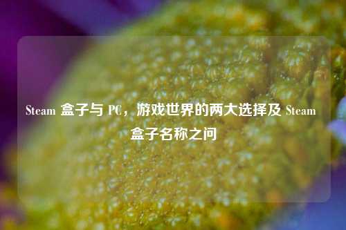 Steam 盒子与 PC,游戏世界的两大选择及 Steam 盒子名称之问
