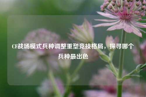 CF战场模式兵种调整重塑竞技格局,探寻哪个兵种最出色