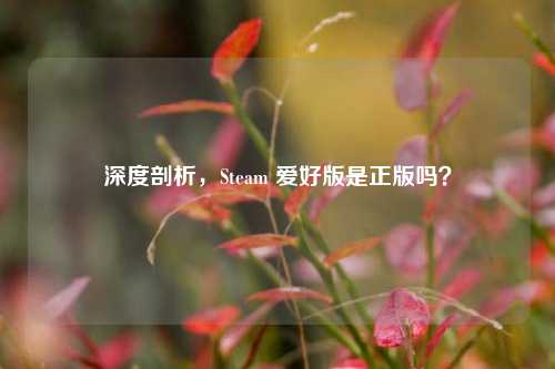 深度剖析,Steam 爱好版是正版吗?
