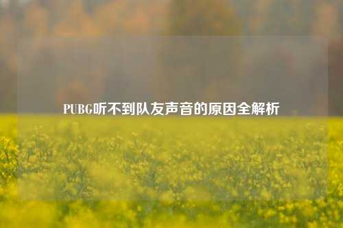PUBG听不到队友声音的原因全解析
