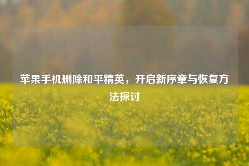 苹果手机删除和平精英，开启新序章与恢复方法探讨