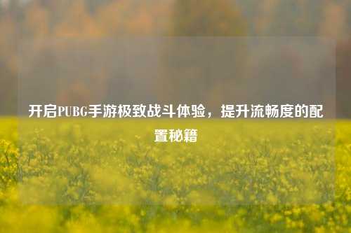 开启PUBG手游极致战斗体验,提升流畅度的配置秘籍