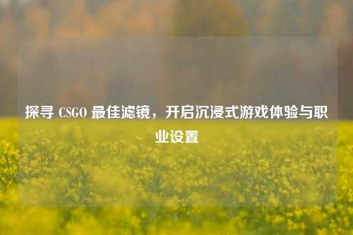 探寻 CSGO 最佳滤镜,开启沉浸式游戏体验与职业设置