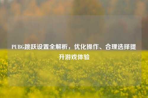 PUBG跳跃设置全解析，优化操作、合理选择提升游戏体验