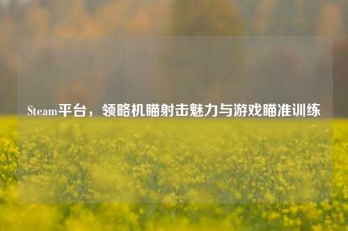 Steam平台,领略机瞄射击魅力与游戏瞄准训练