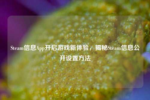 Steam信息App开启游戏新体验,揭秘Steam信息公开设置方法