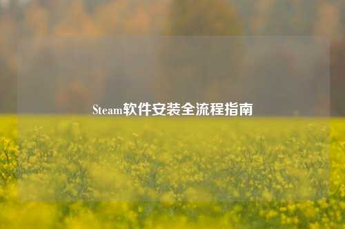 Steam软件安装全流程指南