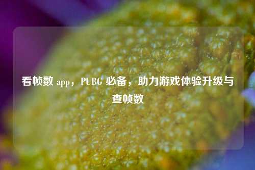看帧数 app，PUBG 必备，助力游戏体验升级与查帧数