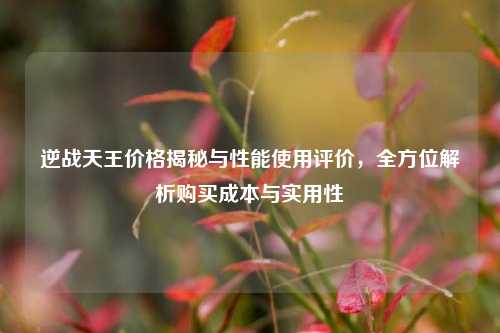 逆战天王价格揭秘与性能使用评价,全方位解析购买成本与实用性