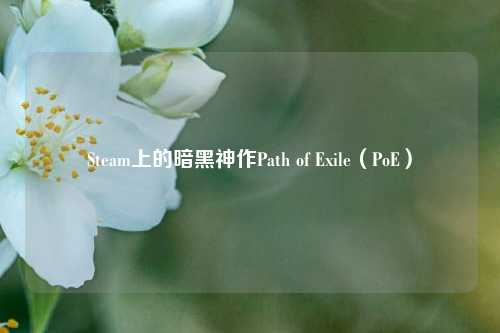 Steam上的暗黑神作Path of Exile(PoE)