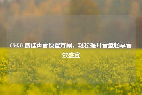 CS:GO 最佳声音设置方案，轻松提升音量畅享音效盛宴