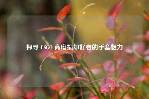探寻 CSGO 高磨损却好看的手套魅力