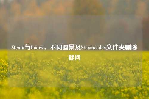 Steam与Codex,不同图景及Steamcodex文件夹删除疑问