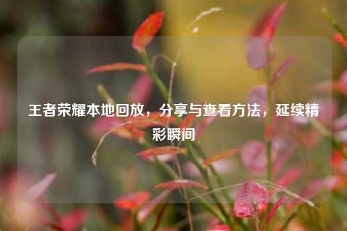 王者荣耀本地回放,分享与查看方法,延续精彩瞬间