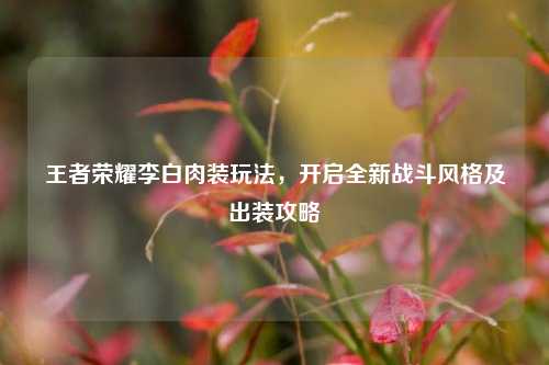 王者荣耀李白肉装玩法，开启全新战斗风格及出装攻略