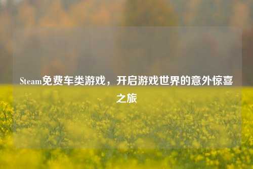 Steam免费车类游戏,开启游戏世界的意外惊喜之旅