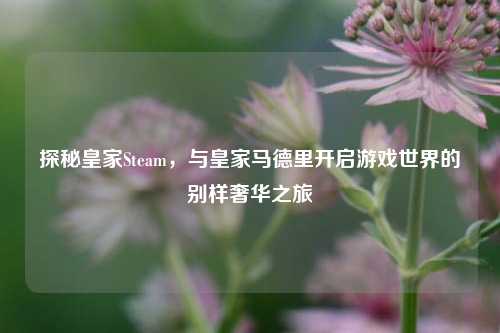 探秘皇家Steam,与皇家马德里开启游戏世界的别样奢华之旅