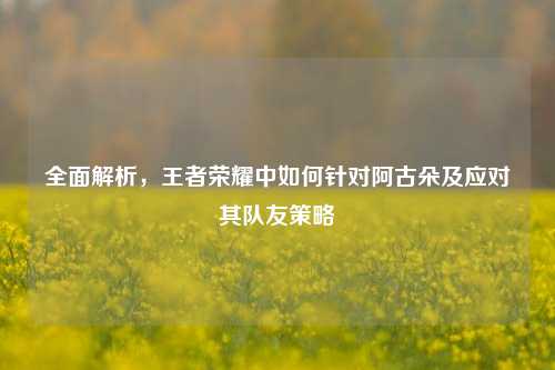 全面解析,王者荣耀中如何针对阿古朵及应对其队友策略