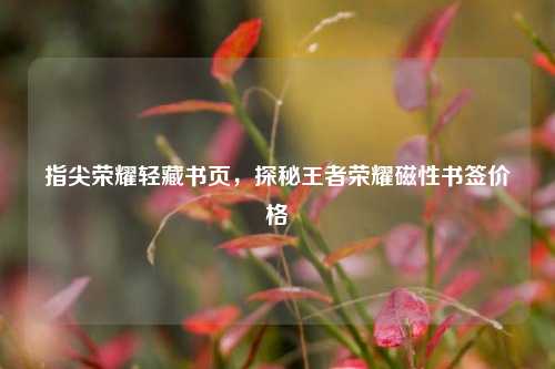 指尖荣耀轻藏书页,探秘王者荣耀磁性书签价格