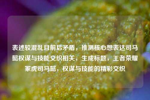 表述较混乱且前后矛盾,推测核心想表达司马懿权谋与技能交织相关,生成标题,王者荣耀冢虎司马懿,权谋与技能的精彩交织