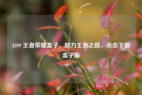 4399 王者荣耀盒子,助力王者之路,点击下载盒子版