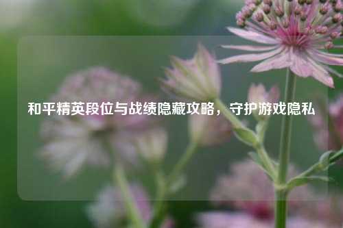 和平精英段位与战绩隐藏攻略,守护游戏隐私