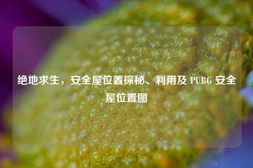绝地求生,安全屋位置探秘、利用及 PUBG 安全屋位置图