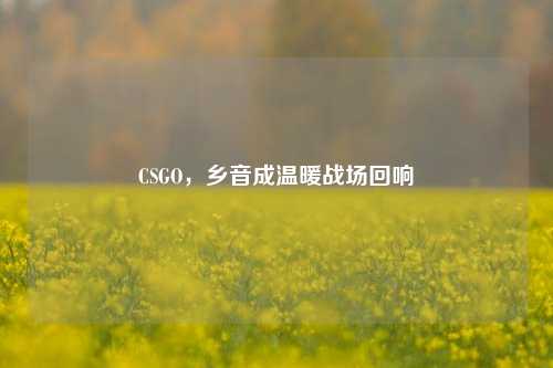 CSGO,乡音成温暖战场回响