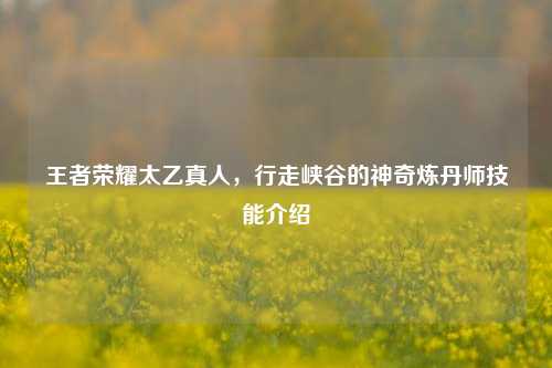 王者荣耀太乙真人,行走峡谷的神奇炼丹师技能介绍