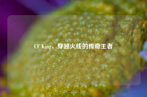 CF King，穿越火线的传奇王者