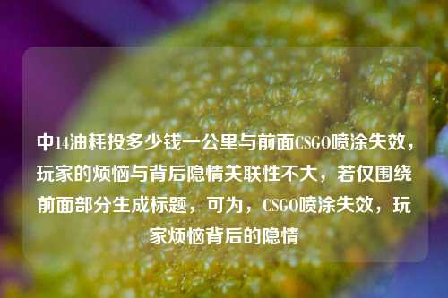 中14油耗投多少钱一公里与前面CSGO喷涂失效,玩家的烦恼与背后隐情关联性不大,若仅围绕前面部分生成标题,可为,CSGO喷涂失效,玩家烦恼背后的隐情