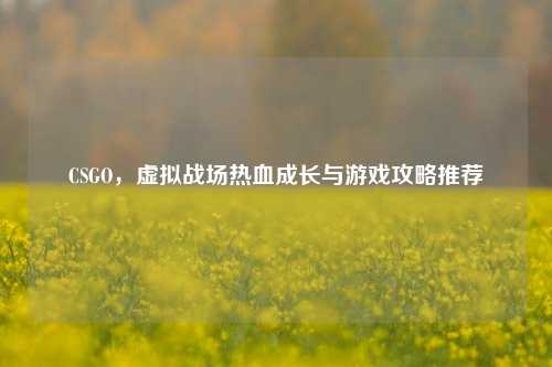 CSGO,虚拟战场热血成长与游戏攻略推荐