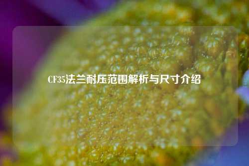 CF35法兰耐压范围解析与尺寸介绍