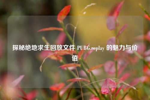 探秘绝地求生回放文件 PUBG.replay 的魅力与价值