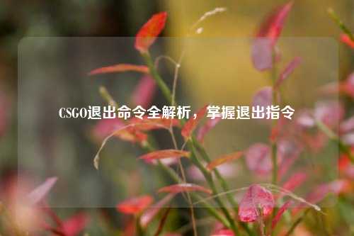 CSGO退出命令全解析,掌握退出指令