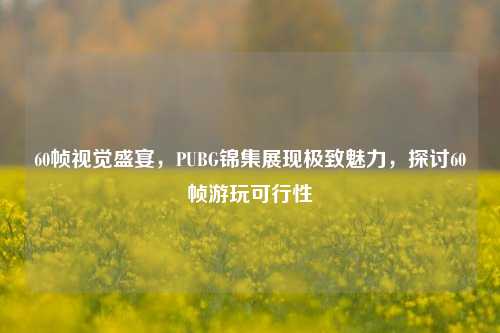60帧视觉盛宴,PUBG锦集展现极致魅力,探讨60帧游玩可行性