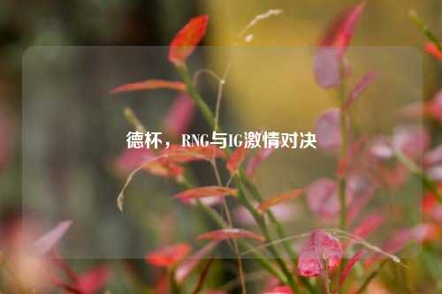 德杯,RNG与IG激情对决