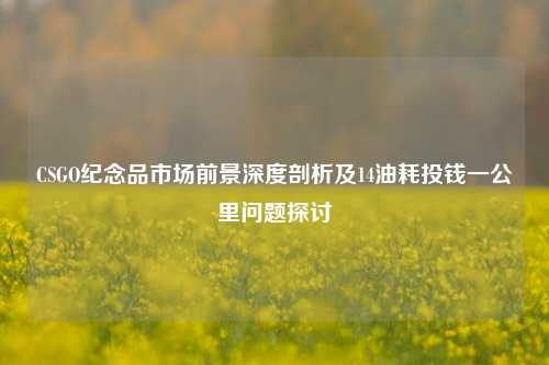 CSGO纪念品市场前景深度剖析及14油耗投钱一公里问题探讨