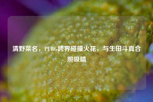 清野菜名,PUBG跨界碰撞火花,与生田斗真合照吸睛