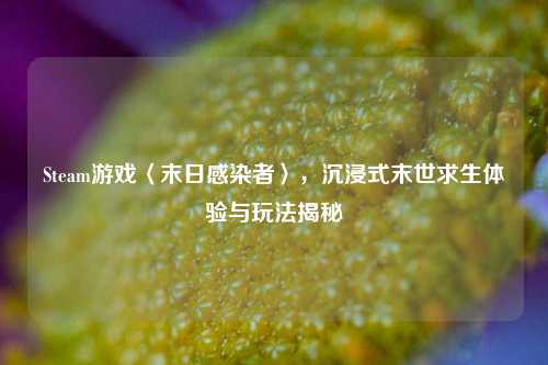Steam游戏〈末日感染者〉,沉浸式末世求生体验与玩法揭秘