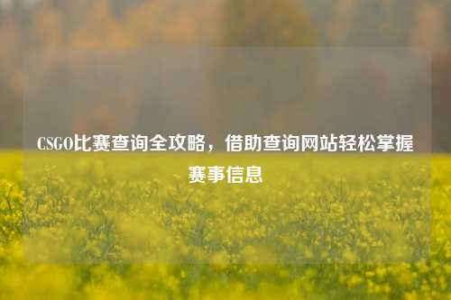 CSGO比赛查询全攻略，借助查询网站轻松掌握赛事信息
