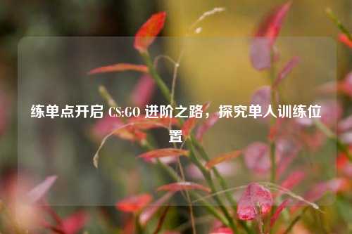 练单点开启 CS:GO 进阶之路，探究单人训练位置