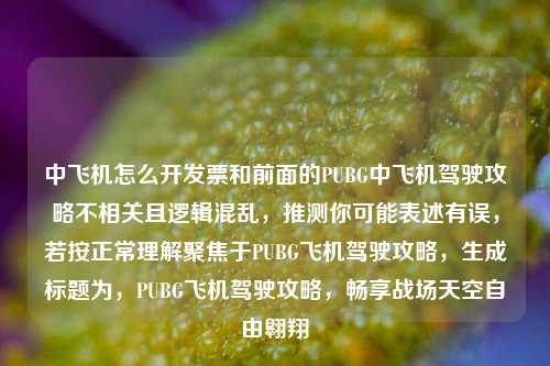 中飞机怎么开发票和前面的PUBG中飞机驾驶攻略不相关且逻辑混乱,推测你可能表述有误,若按正常理解聚焦于PUBG飞机驾驶攻略,生成标题为,PUBG飞机驾驶攻略,畅享战场天空自由翱翔