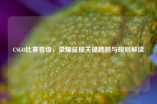 CSGO比赛晋级,荣耀征程关键跨越与规则解读
