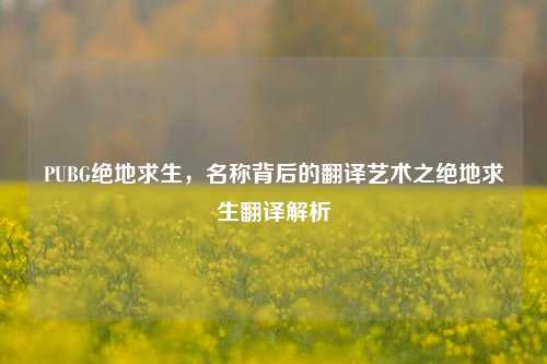 PUBG绝地求生,名称背后的翻译艺术之绝地求生翻译解析
