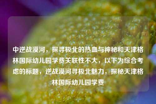 中逆战漠河，探寻极北的热血与神秘和天津格林国际幼儿园学费关联性不大，以下为综合考虑的标题，逆战漠河寻极北魅力，探秘天津格林国际幼儿园学费