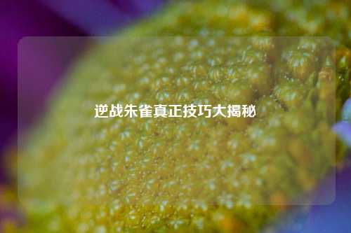 逆战朱雀真正技巧大揭秘