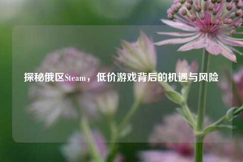 探秘俄区Steam,低价游戏背后的机遇与风险